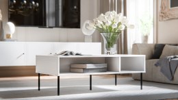 Cama MEBLE Stolik/ława PALAZZO BIS 110x60x40 biały mat