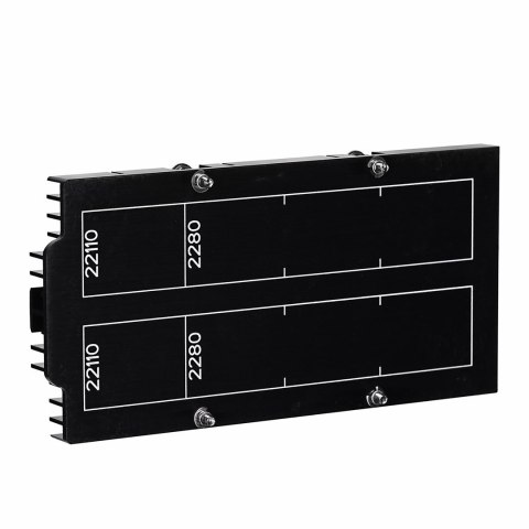 Synology Dual M.2 SSD adapter M2D20 Synology Dual M.2 SSD adapter M2D20