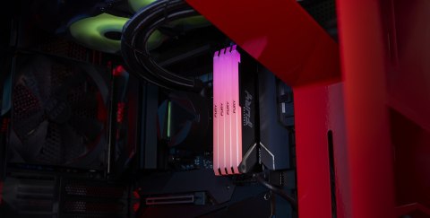 KINGSTON DDR4 32GB 3200MT/s CL16 DIMM (Kit of 2) FURY Beast RGB KINGSTON DDR4 32GB 3200MT/s CL16 DIMM (Kit of 2) FURY Beast RGB