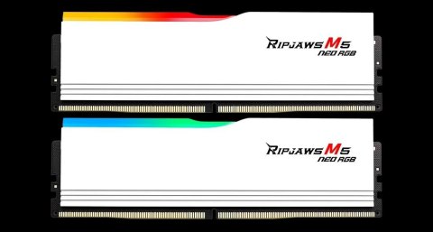 G.SKILL TRIDENT NEO AMD DDR5 2X32GB 6000MHZ CL36-36 WHITE F5-6000J3636F32GX2-RM5NRW G.SKILL TRIDENT NEO AMD DDR5 2X32GB 6000MHZ CL36-36 WHITE F5-6000J3636F32GX2-RM5NRW