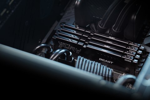 Kingston FURY DDR5 64GB (2x32GB) 5200MHz CL36 Beast Black EXPO Kingston FURY DDR5 64GB (2x32GB) 5200MHz CL36 Beast Black EXPO