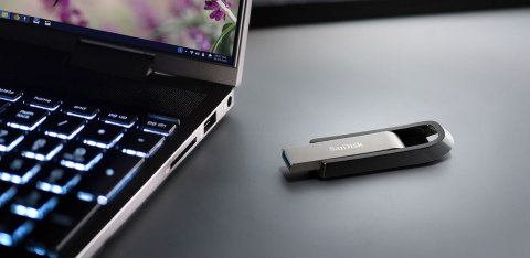 SANDISK FLASH EXTREME GO 256GB USB 3.2 SANDISK FLASH EXTREME GO 256GB USB 3.2