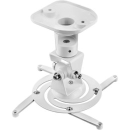 TECHly TECHLY UCHWYT DO PROJEKTORA SUFITOWY 22CM 10KG BIA