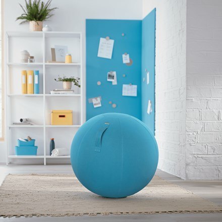 LEITZ Piłka do siedzenia Ergo Cosy, niebieska LEITZ Piłka do siedzenia Ergo Cosy, niebieska
