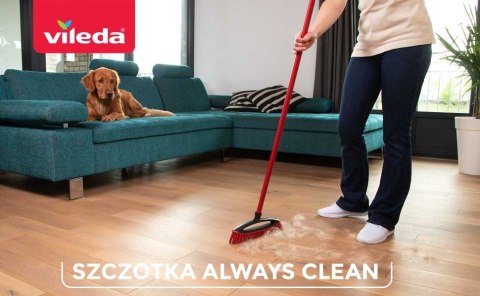Wkład do szczotki do sierści i włosów Vileda Always Clean PET PRO Wkład do szczotki do sierści i włosów Vileda Always Clean PET PRO