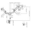 GEMBIRD GEMBIRD BIURKOWE REGULOWANE RAMIĘ/UCHWYT NA 2 MONITORY 17-32, 100X100MM, DO 9 KG