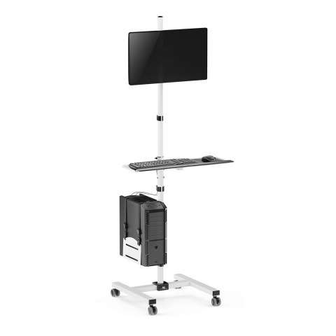 MACLEAN WÓZEK STAND PROFESJONALNY, MOBILNE STANOWISKO KOMPUTEROWE NA KÓŁKACH, MAX 17"-32", MAX 20KG MC-793 W MACLEAN WÓZEK STAND PROFESJONALNY, MOBILNE STANOWISKO KOMPUTEROWE NA KÓŁKACH, MAX 17"-32", MAX 20KG MC-793 W