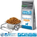 Farmina FARMINA Vet Life Hypoallergenic Fish & Potato Canine - sucha karma dla psa - 12 kg