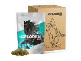 CONTIPRO GELOREN HA Suplement dla koni - 450g