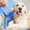 JM Sante JM SANTE POLISEPT VET GEL opatrunek żelowy 30ml