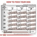 Royal Canin ROYAL CANIN VHN Dog Hepatic 7kg