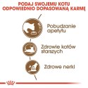 Royal Canin ROYAL CANIN Ageing +12 2kg