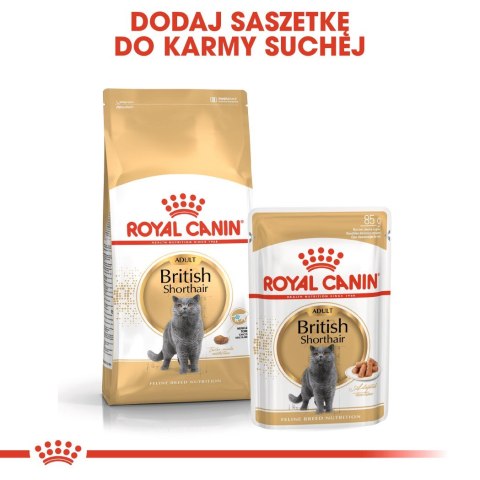 ROYAL CANIN FBN British Shorthair Adult - sucha karma dla dorosłego kota - 10kg Royal Canin ROYAL CANIN FBN British Shorthair Adult - sucha karma dla dorosłego kota - 10kg Royal Canin