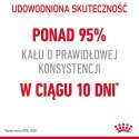 ROYAL CANIN FCN Digestive Care - sucha karma dla kota dorosłego - 4 kg Royal Canin