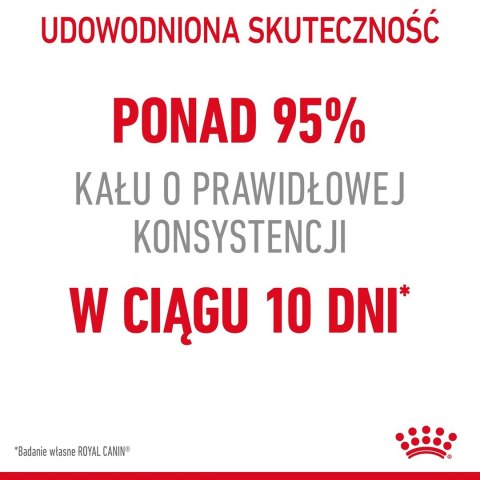 ROYAL CANIN FCN Digestive Care - sucha karma dla kota dorosłego - 4 kg Royal Canin ROYAL CANIN FCN Digestive Care - sucha karma dla kota dorosłego - 4 kg Royal Canin