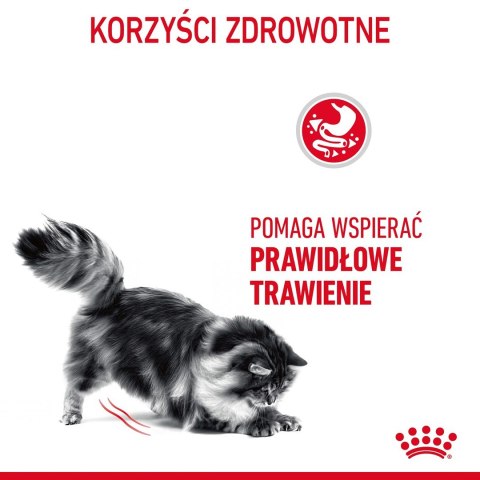 ROYAL CANIN FCN Digestive Care - sucha karma dla kota dorosłego - 4 kg Royal Canin ROYAL CANIN FCN Digestive Care - sucha karma dla kota dorosłego - 4 kg Royal Canin
