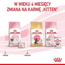ROYAL CANIN FHN Babycat Instinctive Feline mus - mokra karma dla kociąt - puszka - 195 g Royal Canin