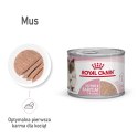 ROYAL CANIN FHN Babycat Instinctive Feline mus - mokra karma dla kociąt - puszka - 195 g Royal Canin