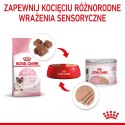 ROYAL CANIN FHN Babycat Instinctive Feline mus - mokra karma dla kociąt - puszka - 195 g Royal Canin