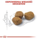 ROYAL CANIN FHN Regular Fit 32 - sucha karma dla kota dorosłego - 400 g Royal Canin