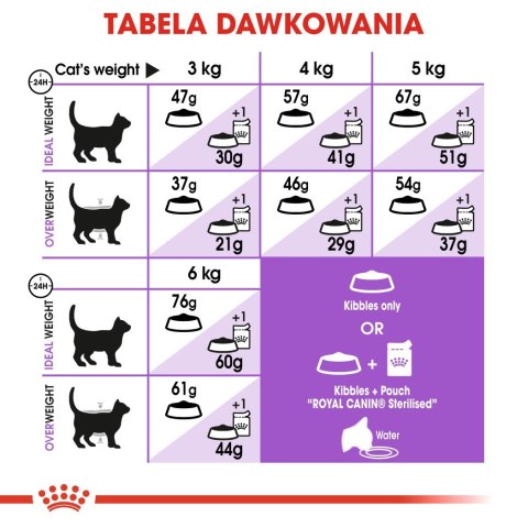 ROYAL CANIN FHN Regular Sterilised 37 - sucha karma dla kota dorosłego - 2 kg Royal Canin ROYAL CANIN FHN Regular Sterilised 37 - sucha karma dla kota dorosłego - 2 kg Royal Canin