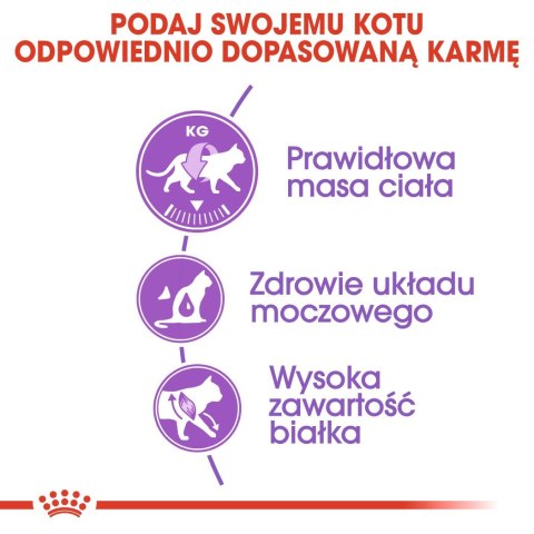 ROYAL CANIN FHN Regular Sterilised 37 - sucha karma dla kota dorosłego - 2 kg Royal Canin ROYAL CANIN FHN Regular Sterilised 37 - sucha karma dla kota dorosłego - 2 kg Royal Canin