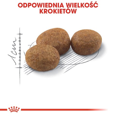 ROYAL CANIN FHN Regular Sterilised 37 - sucha karma dla kota dorosłego - 2 kg Royal Canin ROYAL CANIN FHN Regular Sterilised 37 - sucha karma dla kota dorosłego - 2 kg Royal Canin