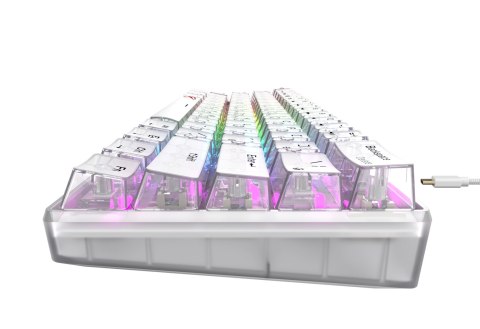 Klawiatura gamingowa Havit KB903L (biel transparentna) HAVIT Klawiatura gamingowa Havit KB903L (biel transparentna) HAVIT