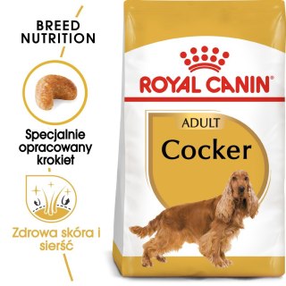 ROYAL CANIN BHN Cocker Adult - sucha karma dla psa dorosłego - 12 kg Royal Canin