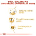 ROYAL CANIN BHN Cocker Adult - sucha karma dla psa dorosłego - 12 kg Royal Canin