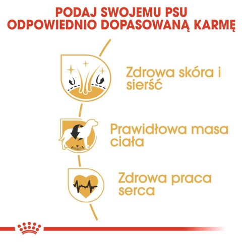 ROYAL CANIN BHN Cocker Adult - sucha karma dla psa dorosłego - 12 kg Royal Canin