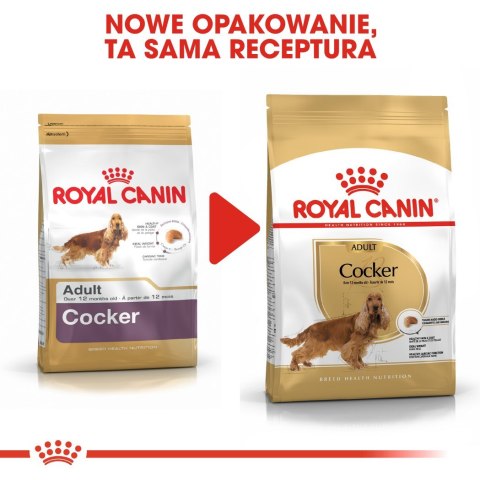 ROYAL CANIN BHN Cocker Adult - sucha karma dla psa dorosłego - 12 kg Royal Canin
