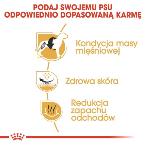ROYAL CANIN BHN French Bulldog Adult - sucha karma dla psa dorosłego - 3kg Royal Canin ROYAL CANIN BHN French Bulldog Adult - sucha karma dla psa dorosłego - 3kg Royal Canin