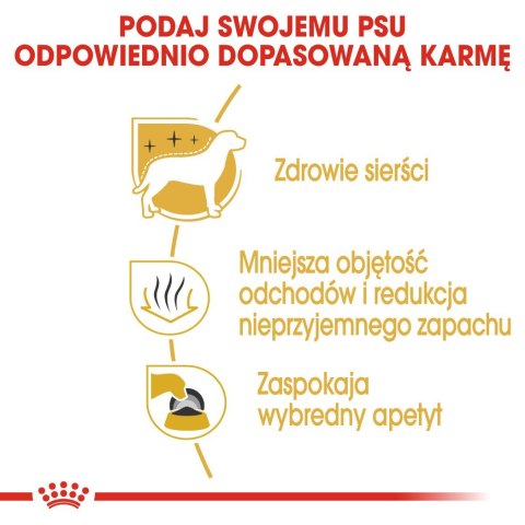 ROYAL CANIN BHN Maltese - sucha karma dla psa - 0,5kg Royal Canin