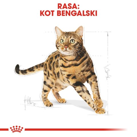 ROYAL CANIN Bengal Adult - sucha karma dla dorosłego kota - 10 kg Royal Canin