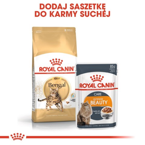 ROYAL CANIN Bengal Adult - sucha karma dla dorosłego kota - 10 kg Royal Canin