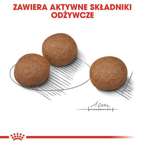 ROYAL CANIN CCN MEDIUM DIGESTIVE CARE - sucha karma dla psa dorosłego - 3kg Royal Canin