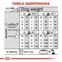 ROYAL CANIN CCN MINI STERILISED - sucha karma dla psa dorosłego - 3kg Royal Canin