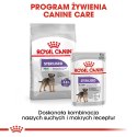 ROYAL CANIN CCN MINI STERILISED - sucha karma dla psa dorosłego - 3kg Royal Canin