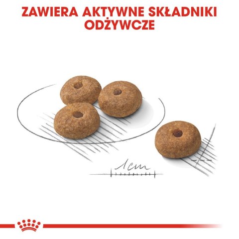 ROYAL CANIN CCN MINI STERILISED - sucha karma dla psa dorosłego - 3kg Royal Canin ROYAL CANIN CCN MINI STERILISED - sucha karma dla psa dorosłego - 3kg Royal Canin