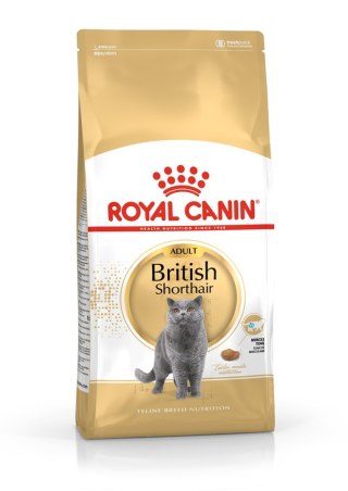 ROYAL CANIN FBN British Shorthair Adult - sucha karma dla dorosłego kota - 2kg Royal Canin