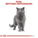 ROYAL CANIN FBN British Shorthair Adult - sucha karma dla dorosłego kota - 2kg Royal Canin