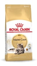 ROYAL CANIN FBN Maine Coon Adult - sucha karma dla dorosłego kota - 10kg Royal Canin