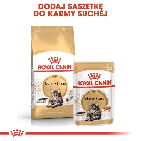 ROYAL CANIN FBN Maine Coon Adult - sucha karma dla dorosłego kota - 10kg Royal Canin ROYAL CANIN FBN Maine Coon Adult - sucha karma dla dorosłego kota - 10kg Royal Canin