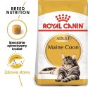 ROYAL CANIN FBN Maine Coon Adult - sucha karma dla dorosłego kota - 10kg Royal Canin