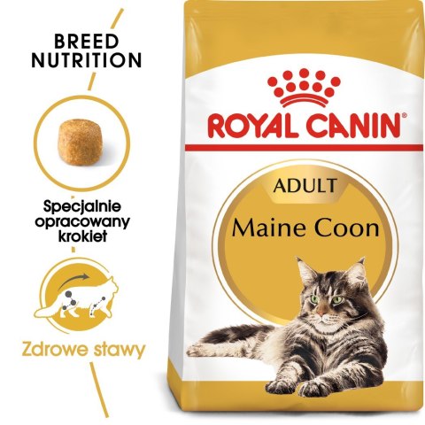 ROYAL CANIN FBN Maine Coon Adult - sucha karma dla dorosłego kota - 10kg Royal Canin ROYAL CANIN FBN Maine Coon Adult - sucha karma dla dorosłego kota - 10kg Royal Canin