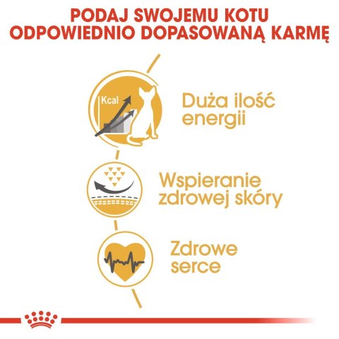 ROYAL CANIN FBN Sphynx Adult - sucha karma dla dorosłego kota - 2kg Royal Canin ROYAL CANIN FBN Sphynx Adult - sucha karma dla dorosłego kota - 2kg Royal Canin
