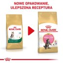 ROYAL CANIN Maine Coon Kitten 0,4kg Royal Canin