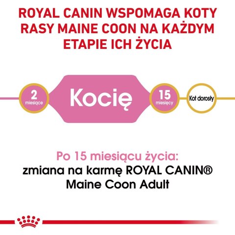 ROYAL CANIN Maine Coon Kitten 0,4kg Royal Canin