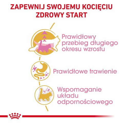 ROYAL CANIN Maine Coon Kitten 0,4kg Royal Canin
